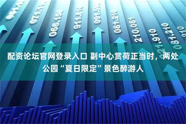 配资论坛官网登录入口 副中心赏荷正当时，两处公园“夏日限定”景色醉游人